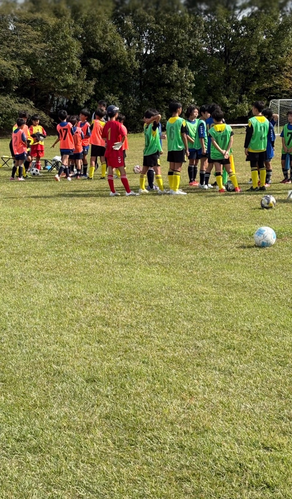 U12TM